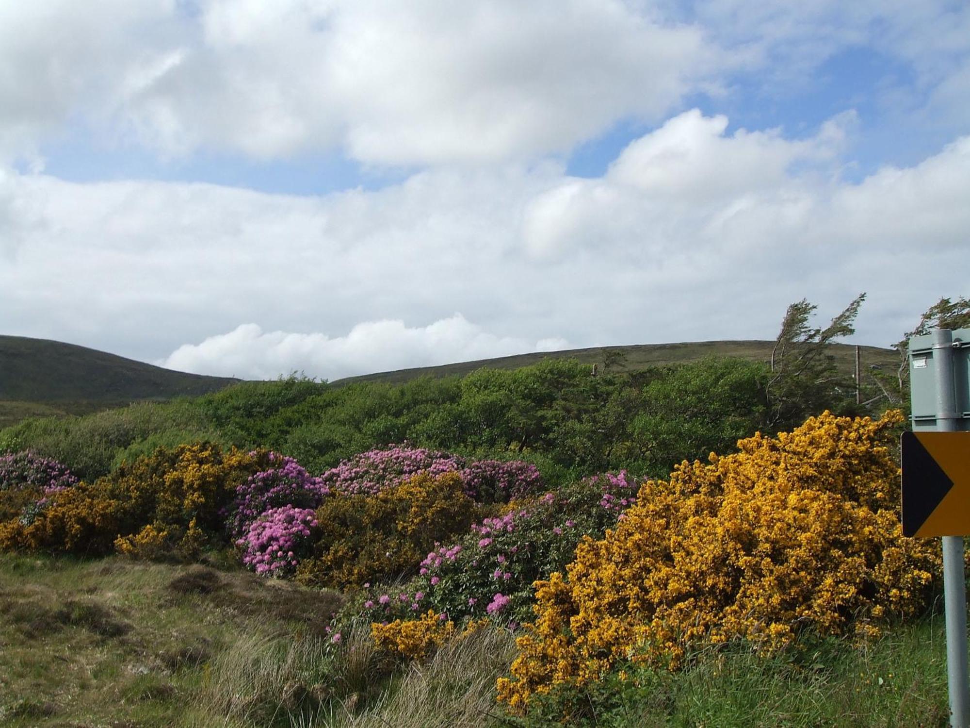 Achill Cliff House Hotel & Restaurant كيل المظهر الخارجي الصورة